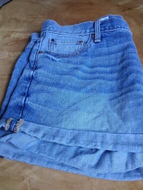 GAP Light Blue Denim Jean Shorts
